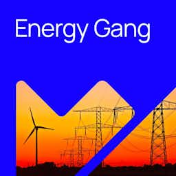 The Energy Gang